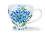 894425_dunoon_skye_agapanthus_medium.jpg