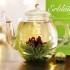 Gr�ner Erbl�htee in Holzbox - 12er Set